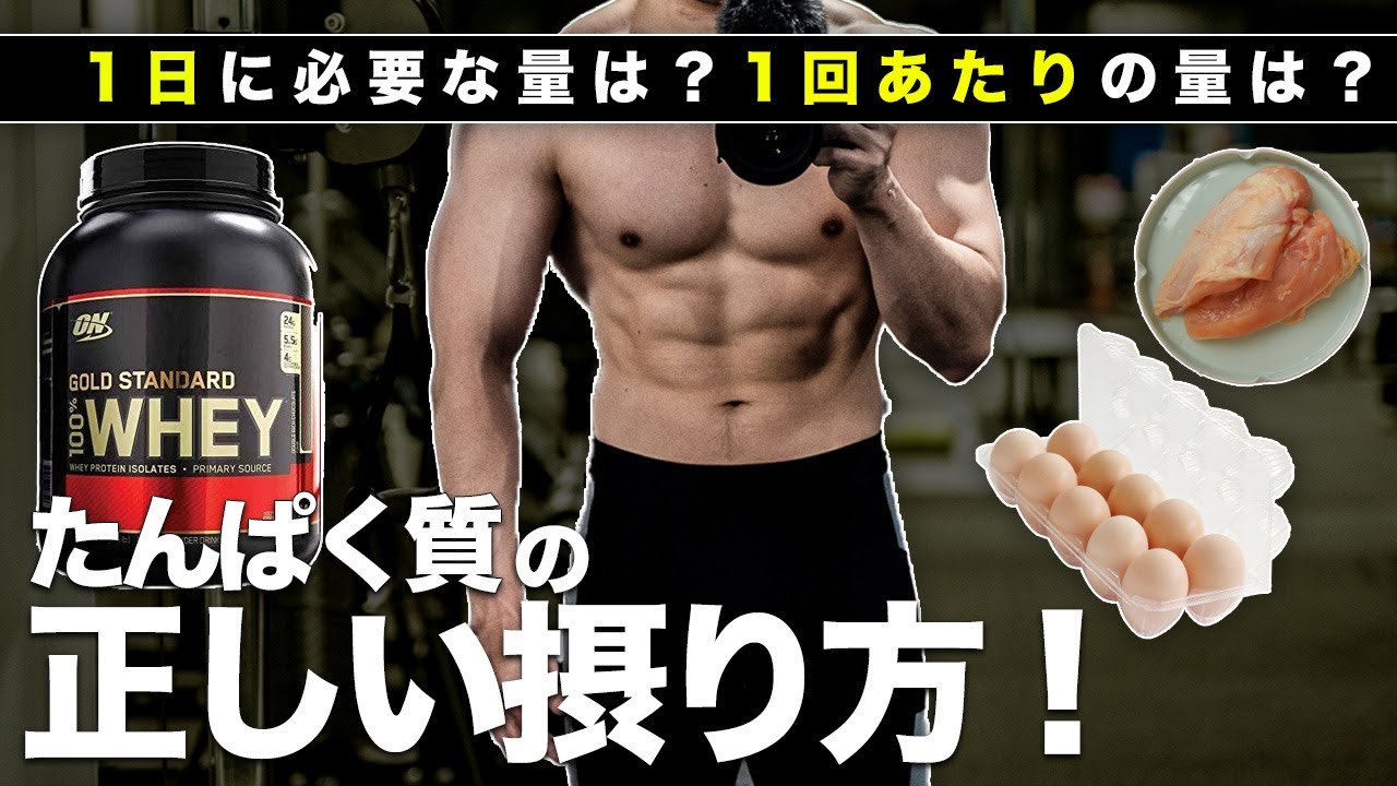 筋肥大を最大化させるたんぱく質の摂取量とは？【筋トレ】