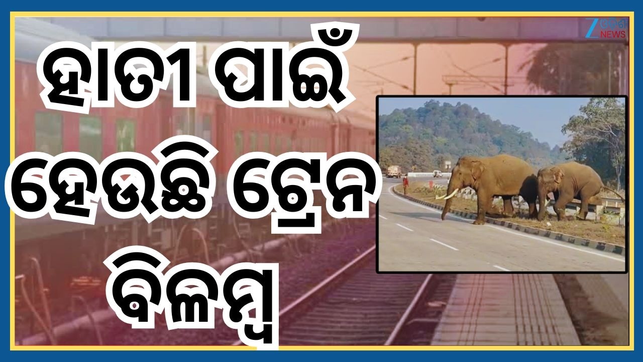 Elephant News: ବନବିଭାଗ ତରଫରୁ ଦିଆଗଲା ଗୁରୁତ୍ୱପୂର୍ଣ୍ଣ ସୂଚନା, ହାତୀ ପାଇଁ ହେଉଛି ଟ୍ରେନ ବିଳମ୍ବ। Odisha News