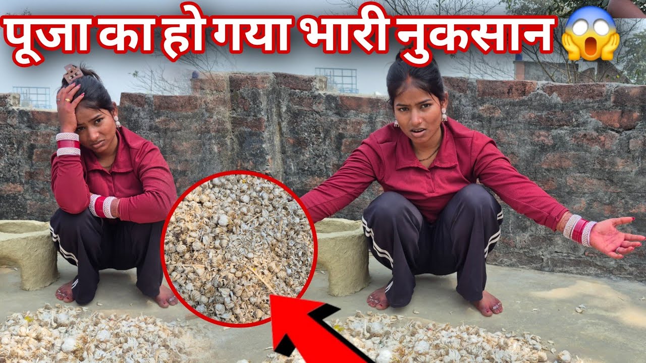 पूजा का हो गया भारी नुकसान लहसुन हो गया खराब@RKRAJAFun @luckyfun3908 @anupmavlog 