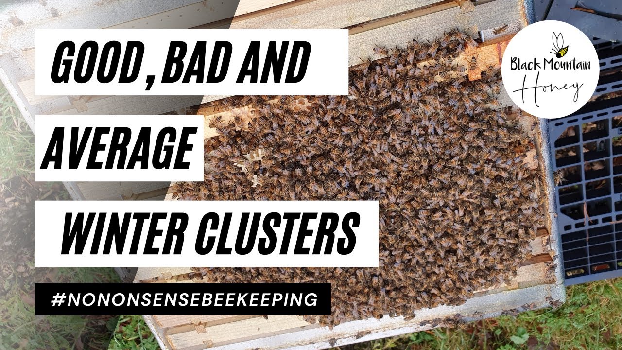 Good, Bad and Average Winter Clusters