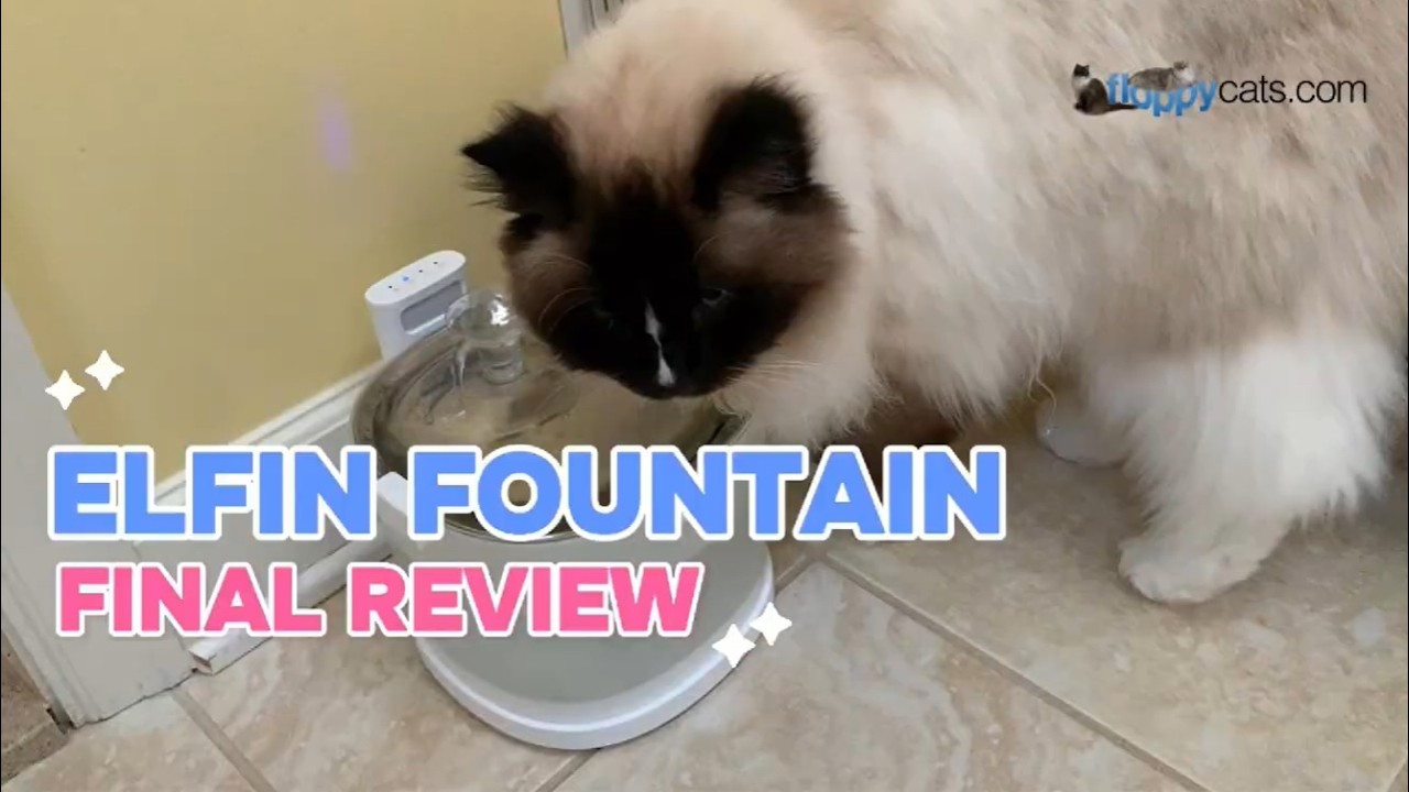 Hydrate Your Pets! Elfin Fountain Review! 💧🐶😺🌿
