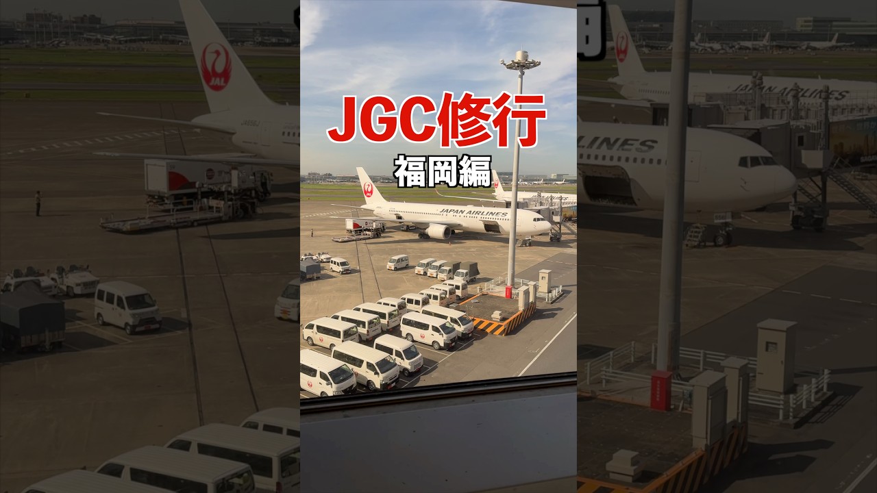【JGC修行】福岡タッチ編#shorts #旅行 #jal #飛行機 #airplane #羽田空港 #福岡空港 #福岡