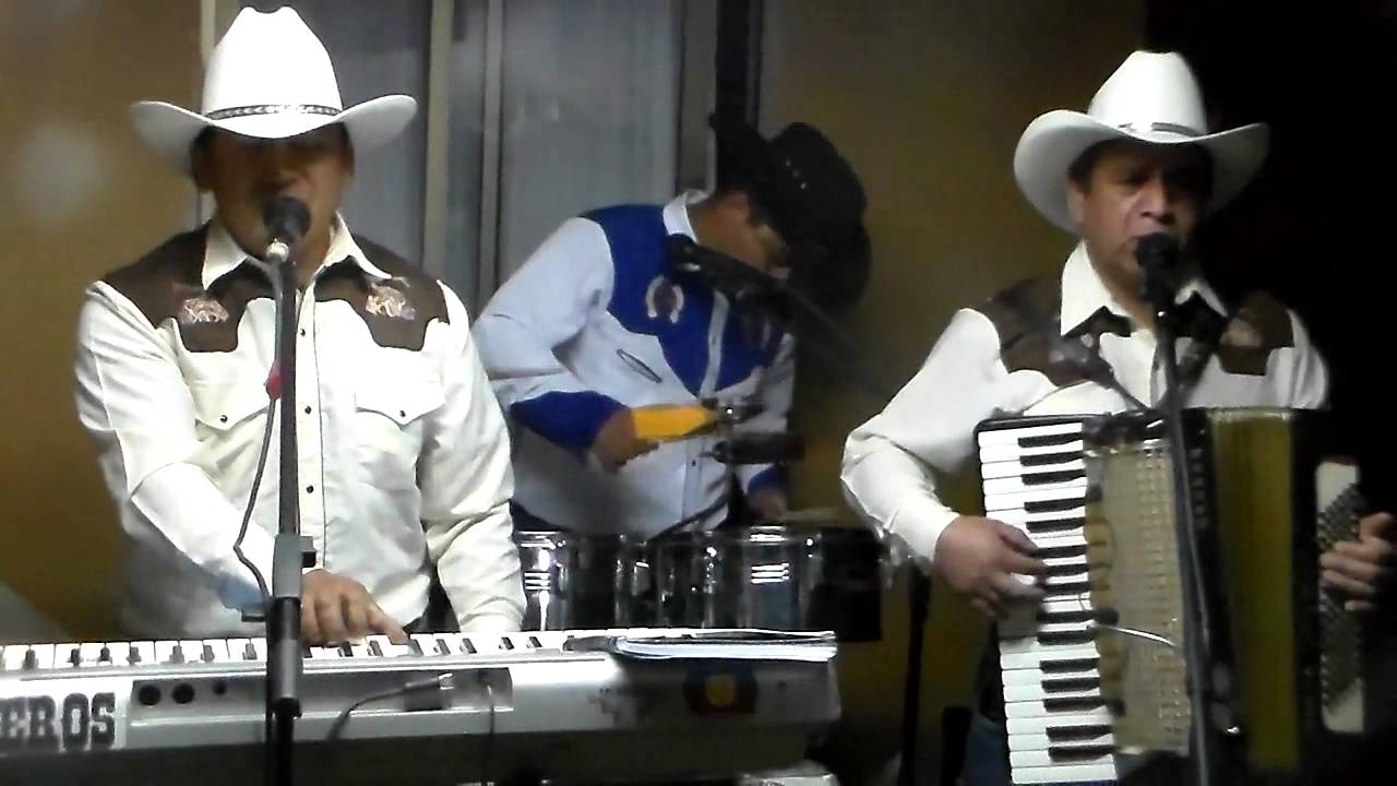 LOS BIGOREROS DEL SUR:Mix-Flor en primavera y otros