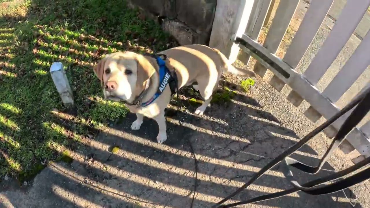 NW3 Trial Lebanon NJ 11/29 -Exterior 
