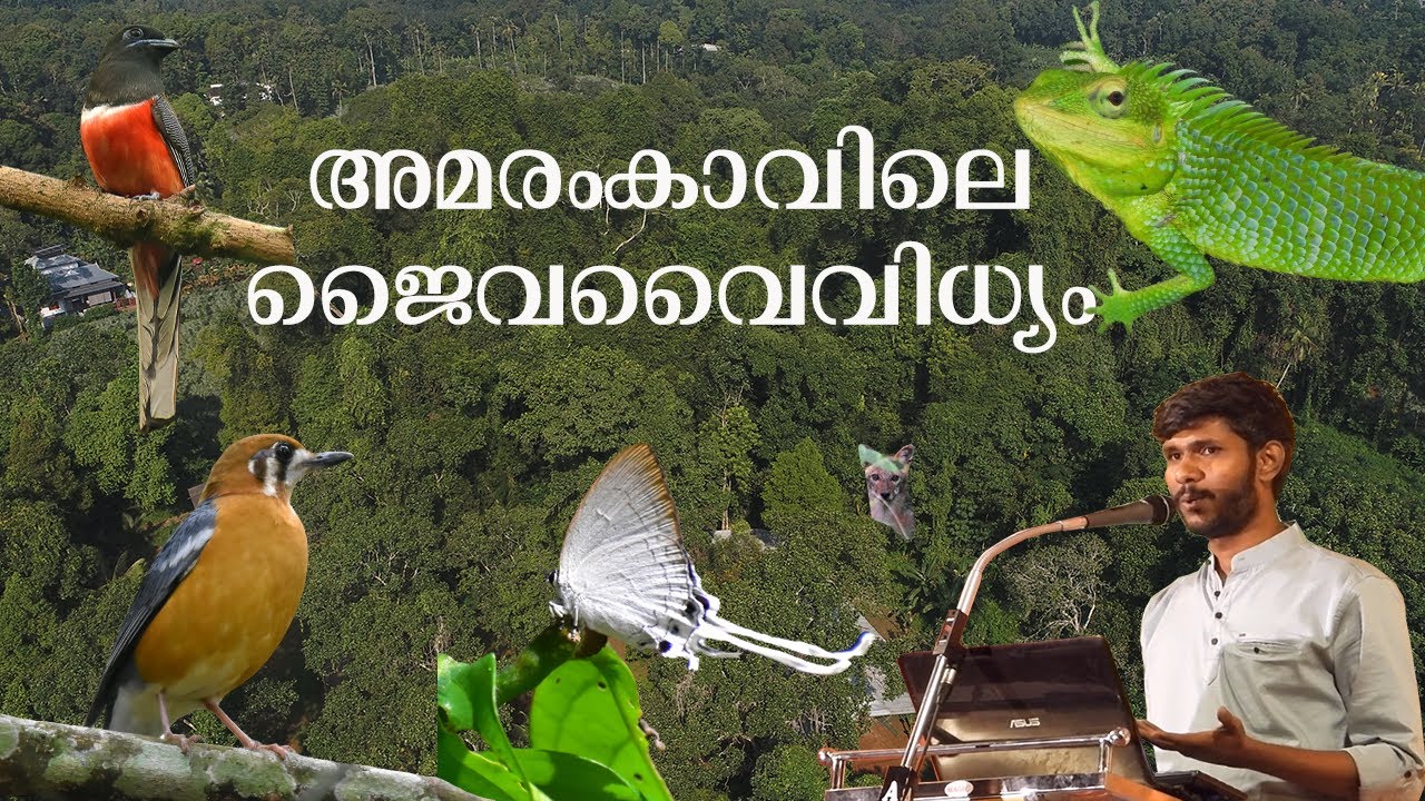 അമരംകാവിലെ ജൈവവൈവിധ്യം | Biodiversity of Amaramkavu Sacred Grove, Thodupuzha