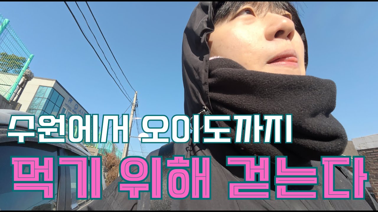 40km 걸어서 회먹으러 가기