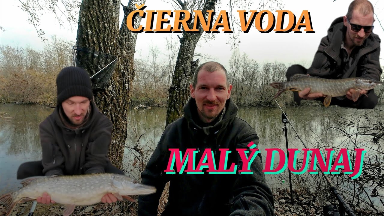 Lov Šťuky na živú rybku /Lov na Rieke Čierna Voda a Malý Dunaj + nový osobák /marec 2025 