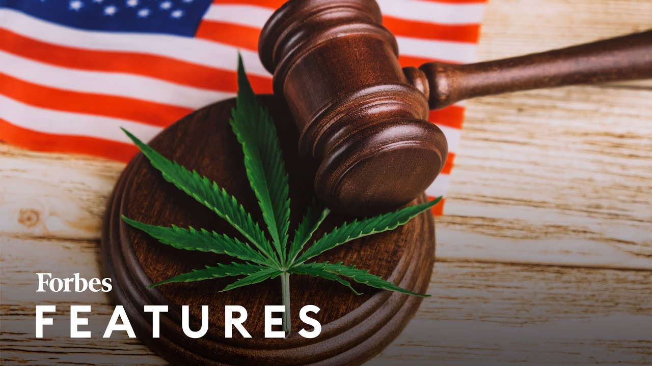 What President Biden's Cannabis Law Reform Means For The Legal Drug Industry | Forbes