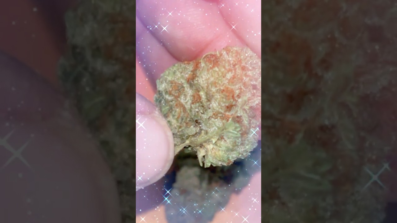 A Film- Bubba Chem ⛽️ 🎥 🔥 #shorts #bubba #420