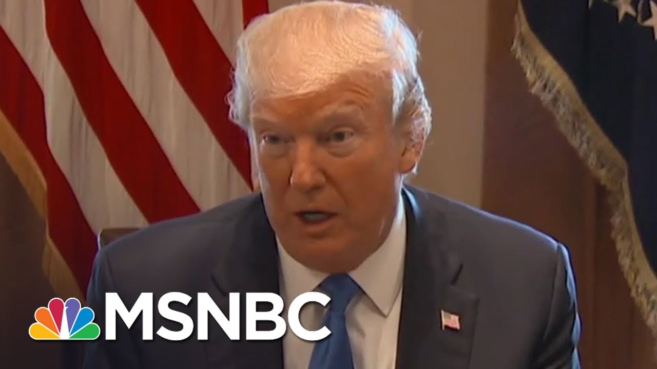 How Likely Is A 25th Amendment Removal Of A President? | All In | MSNBC