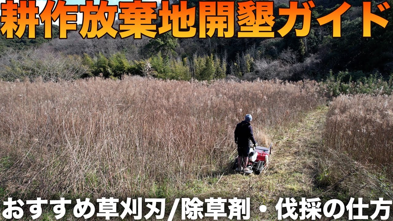 耕作放棄地を攻略する①