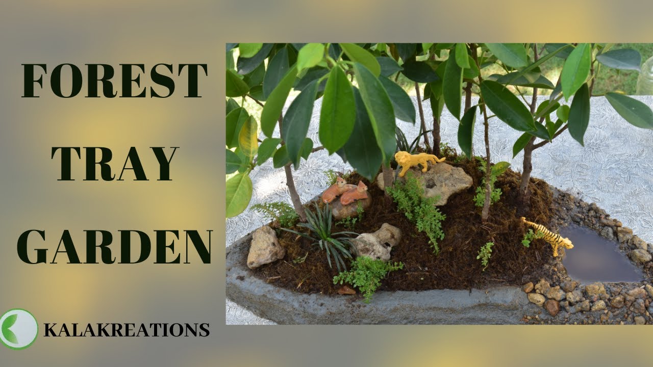 FOREST TRAY GARDEN | FROM SCRATCH | DIY MARBLE TRAY | BEST FROM WASTE | EASY