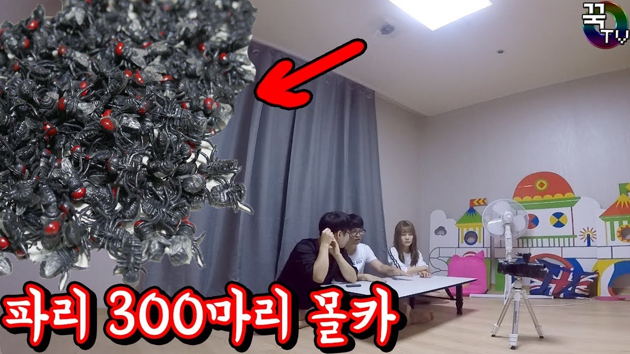 파리 300마리 몰래카메라ㅋㅋㅋ 레전드꿀잼 [ 꾹TV ]