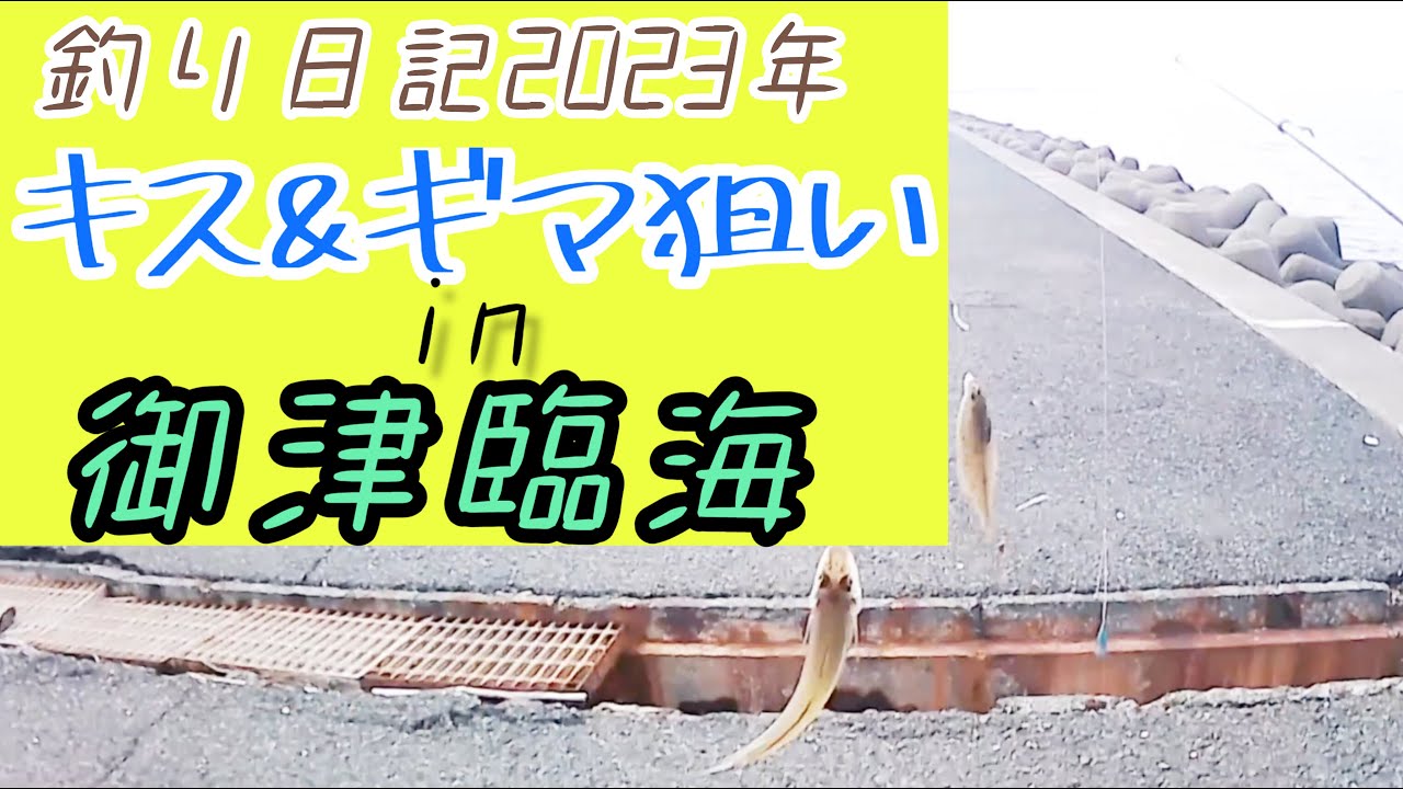 釣日記　御津臨海のキス釣り