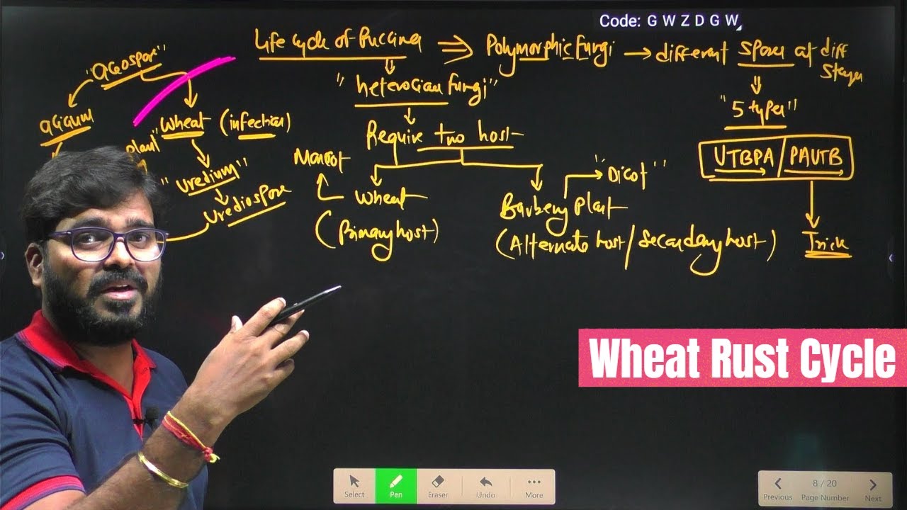 Wheat Rust Cycle | Puccinia Graminis | Uredospores | Plant Pathology | Agriculture RS Rajput
