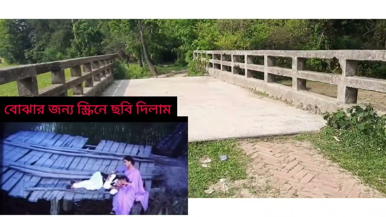 মধুপুর জাতীয় উদ্যান🥰। আনন্দ অশ্রু সিনেমার সুটিং স্পষ্ট। পুষ্পা খ্যাত রক্ত চন্দন।