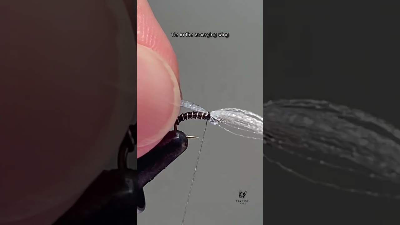 Manhattan Midge | Quick Tie | 