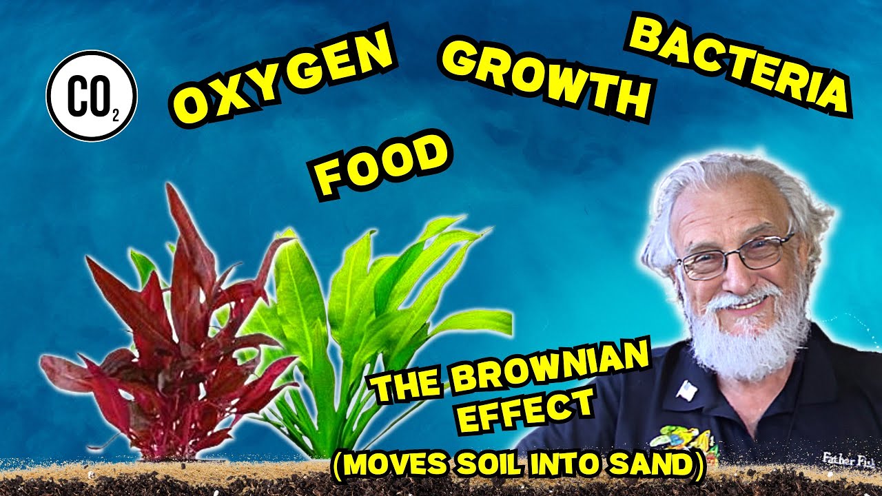 Discover the Revolutionary Method for Stunning Foliage Without Fert/CO2