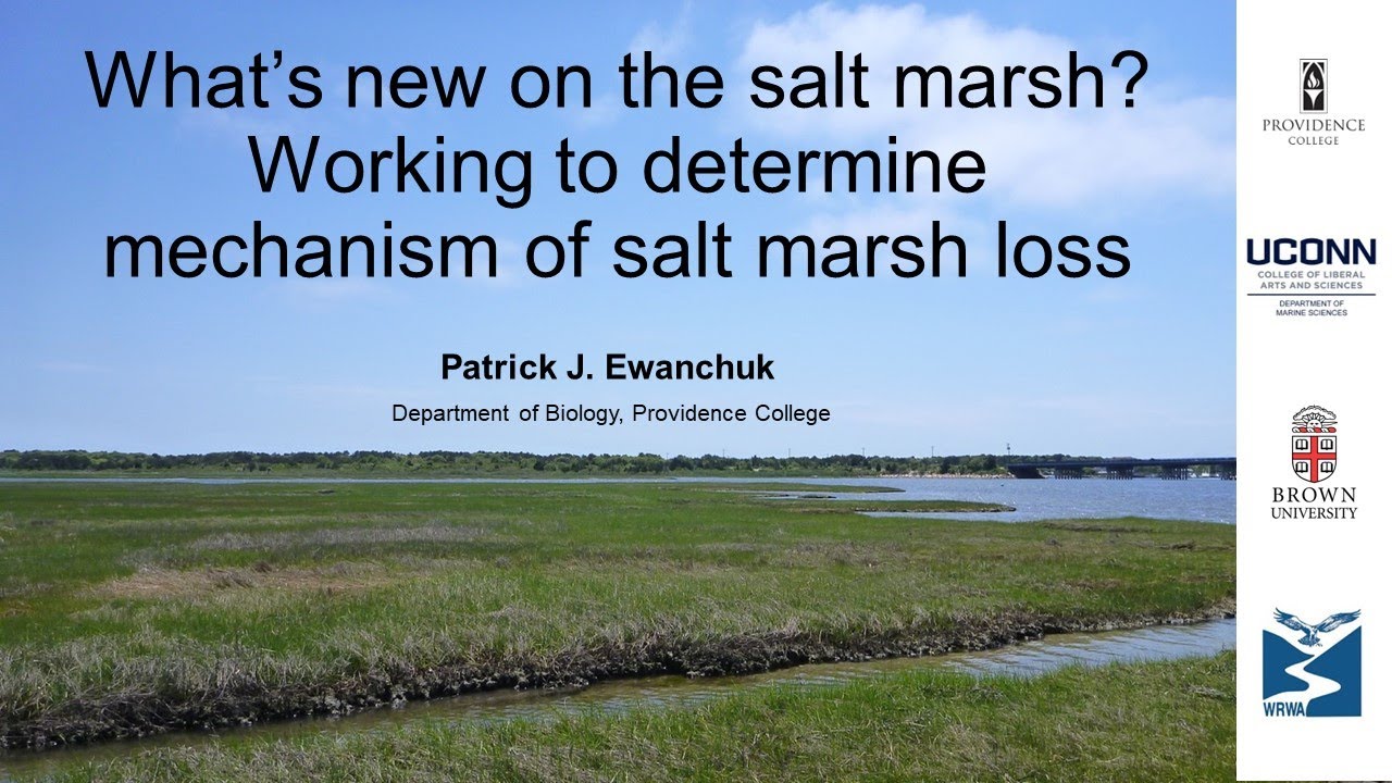 Salt Marshes Presentation at WRWA Annual Meeting by Patrick Ewanchuk, PhD.  March 3, 2024.