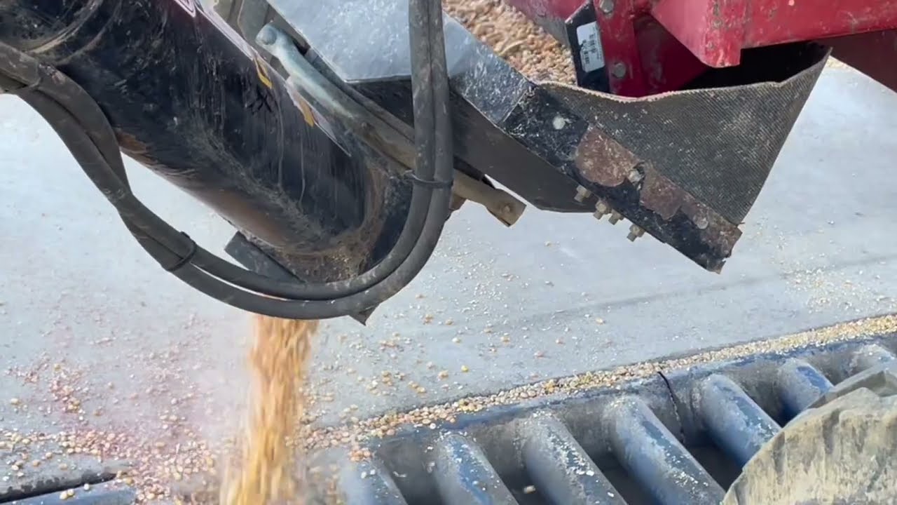 Grain Bin Filling