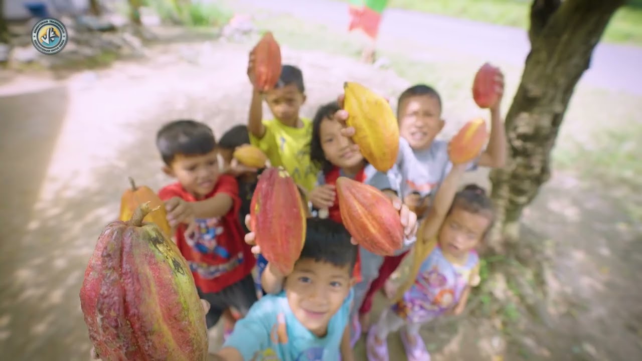 Keunggulan Kakao Polewali Mandar - Part 1