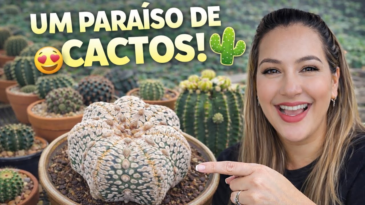 ✨ Visitei um Cactário Encantador em Matheus Leme | Cactos Raros da Dona Luísa 🌵