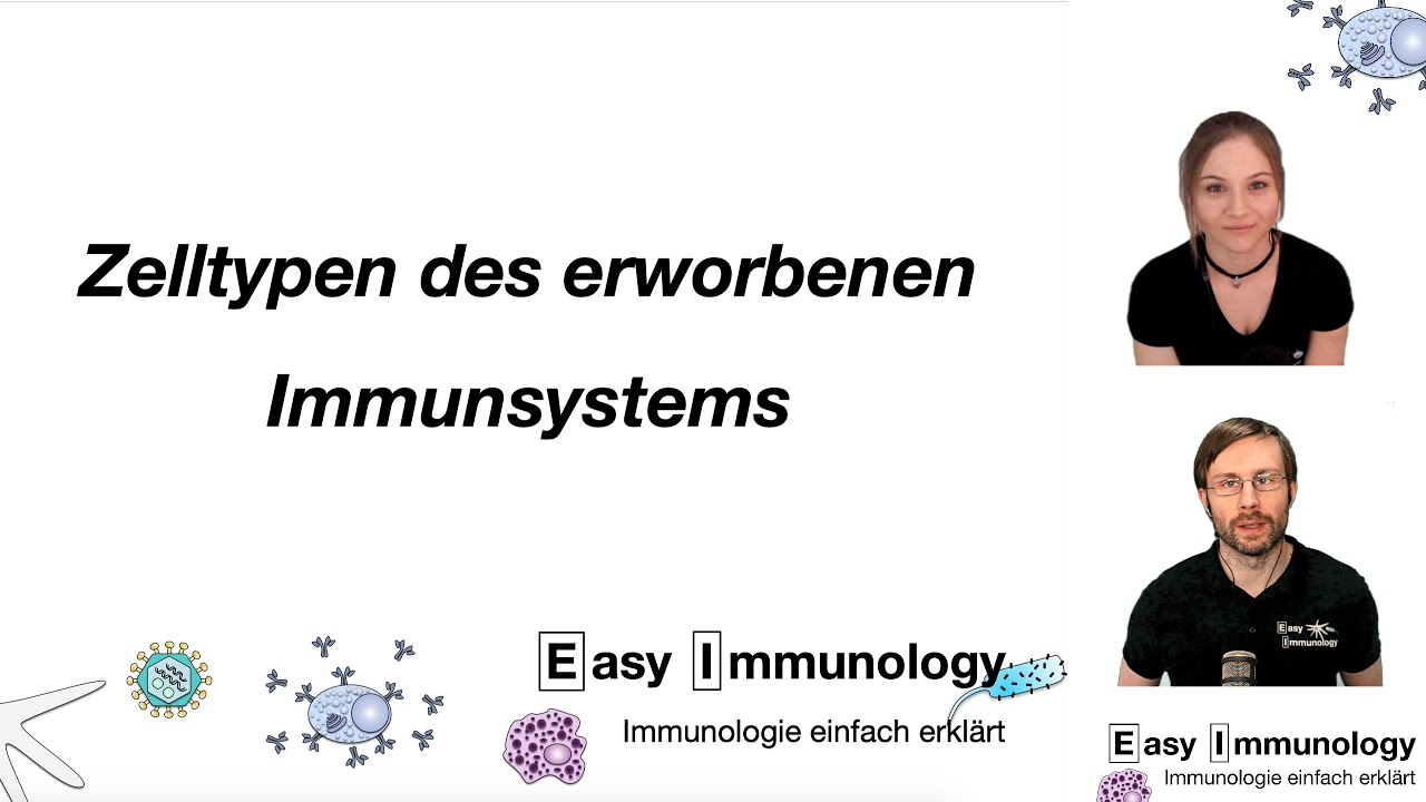 Season 1 - Folge 5: T und B Lymphozyten (Zelltypen des erworbenen Immunsystems)