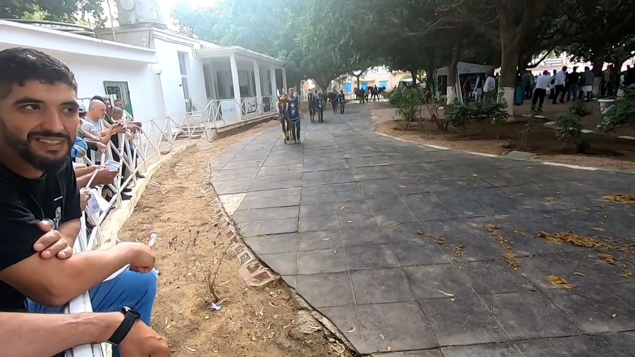 قصر سعيد partie 2