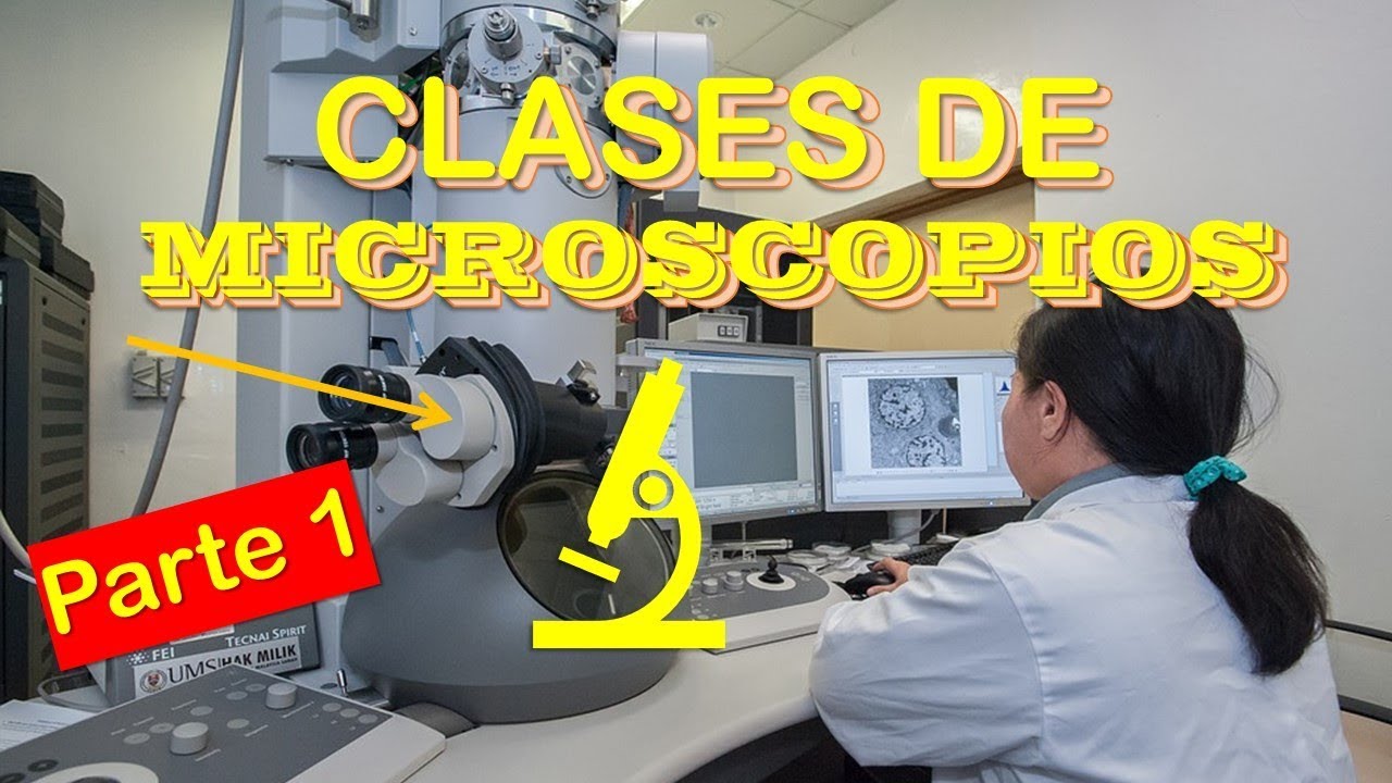 Cuántas Clases de Microscopios Hay? | Parte 1