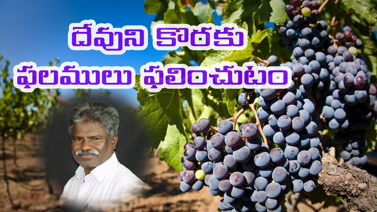 దేవుని కొరకు ఫలములు ఫలించుటం - Pas. K.Deevena Clementh Babu