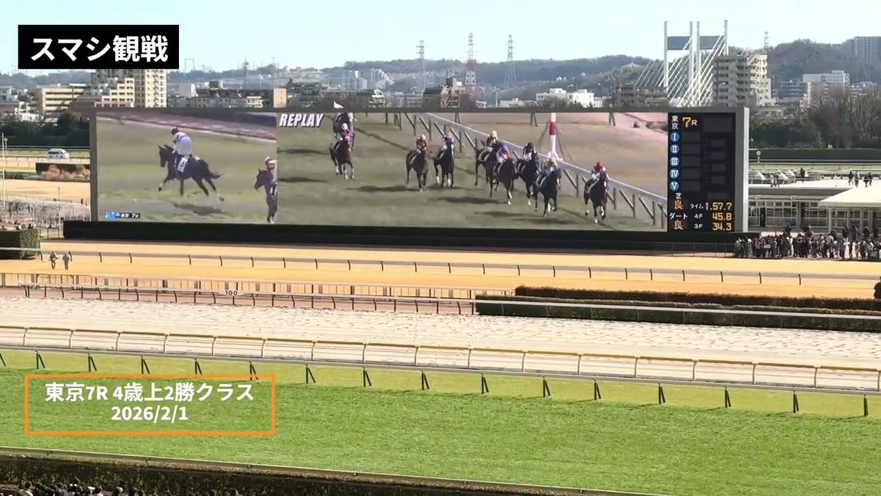 2026年2月1日 | 4歳上2勝クラス | ログラール | リトルジャイアンツ | 現地レース映像 | 東京競馬場 | スマシ観戦