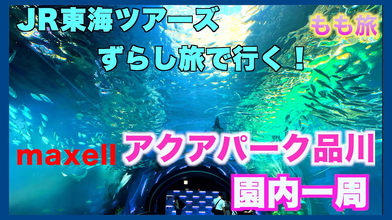 アクアパーク品川　J R東海ツアーズ『ずらし旅』で行く東京観光！　光と音が織りなす水族館の園内一周回ってみた。