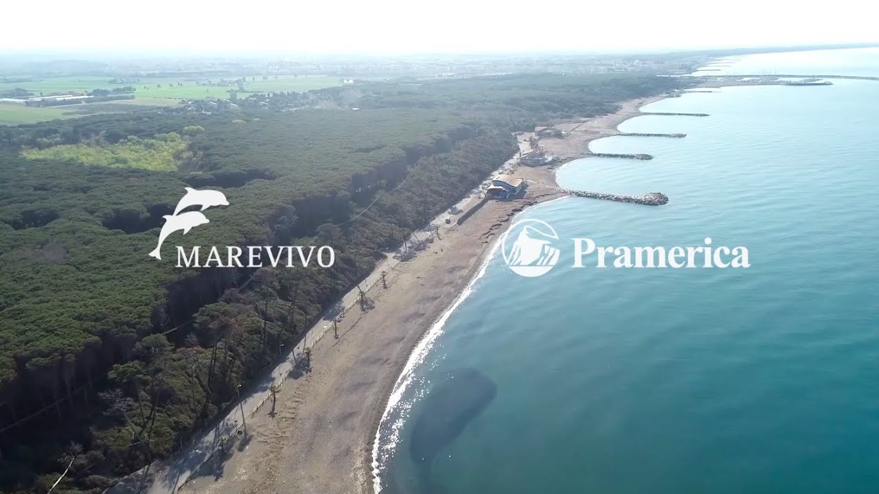 Posidonia oceanica: da rifiuto a risorsa