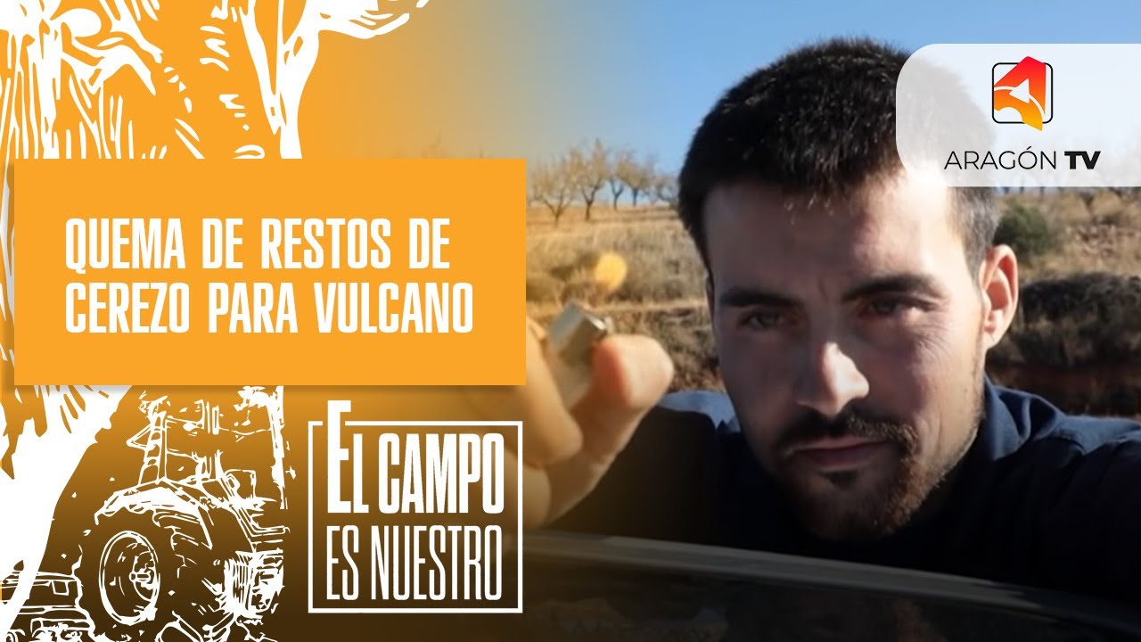 Quema de restos de cerezo en honor de Vulcano