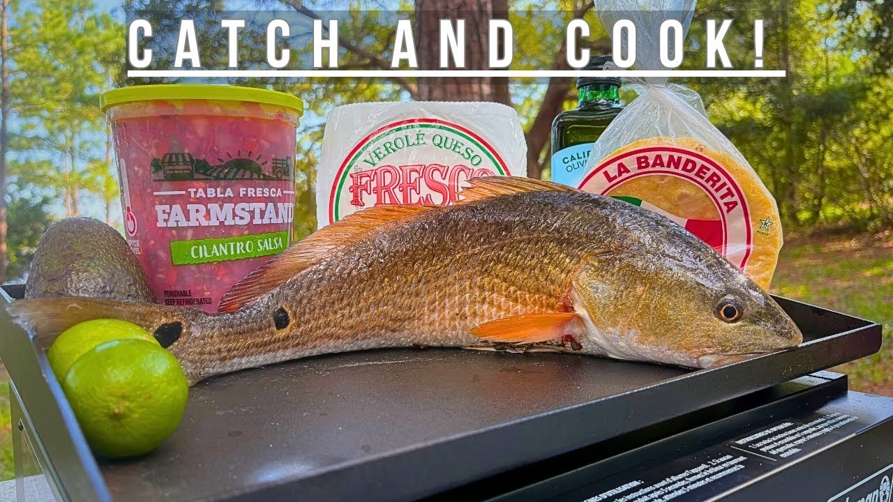 Red Drum CATCH and COOK! (NC Kayak Fishing)
