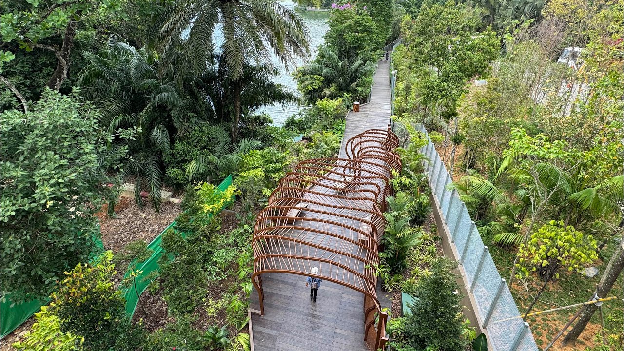 Mandai Boardwalk 2025 万态步行道