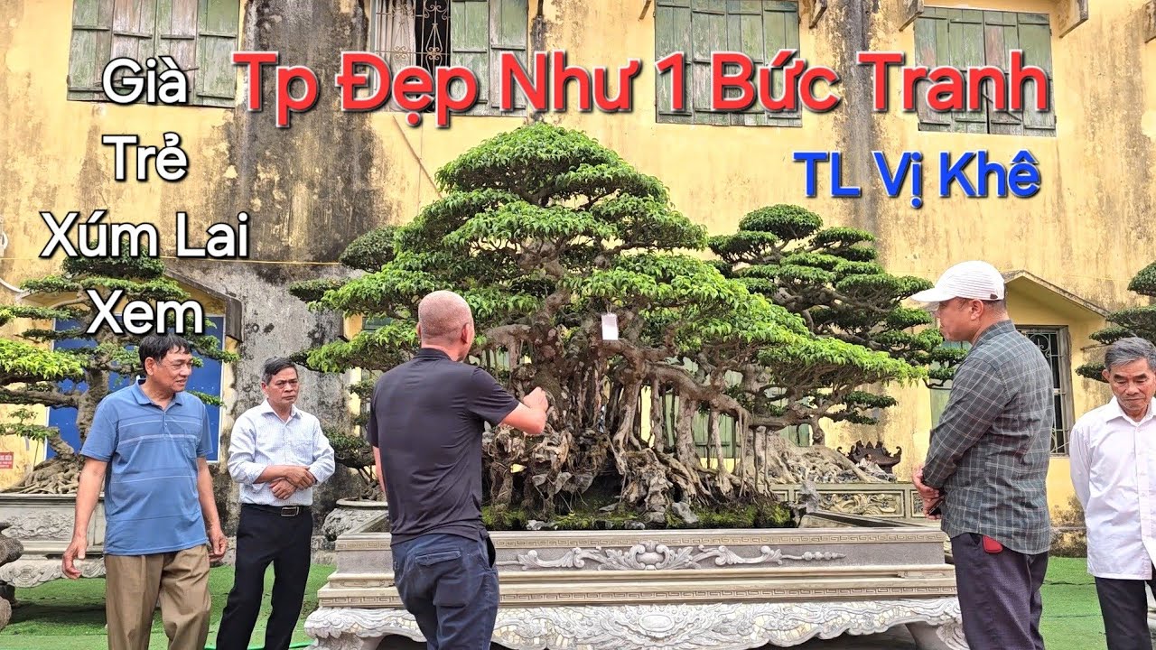TP ĐẸP NHƯ 1 BỨC TRANH triển lãm VỊ KHÊ dòng người NỐI ĐUÔI NHAU kéo đến xem - MƯA LỜI KHEN ...