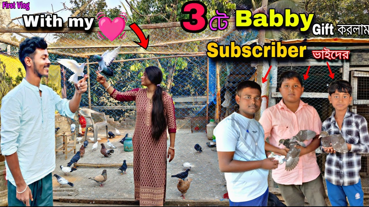  বাড়িতে এল ৩ জন সাবস্ক্রাইবার ভাই! উপহার দিলাম চুচু ও মোটামুটির বাচ্চা 🕊️