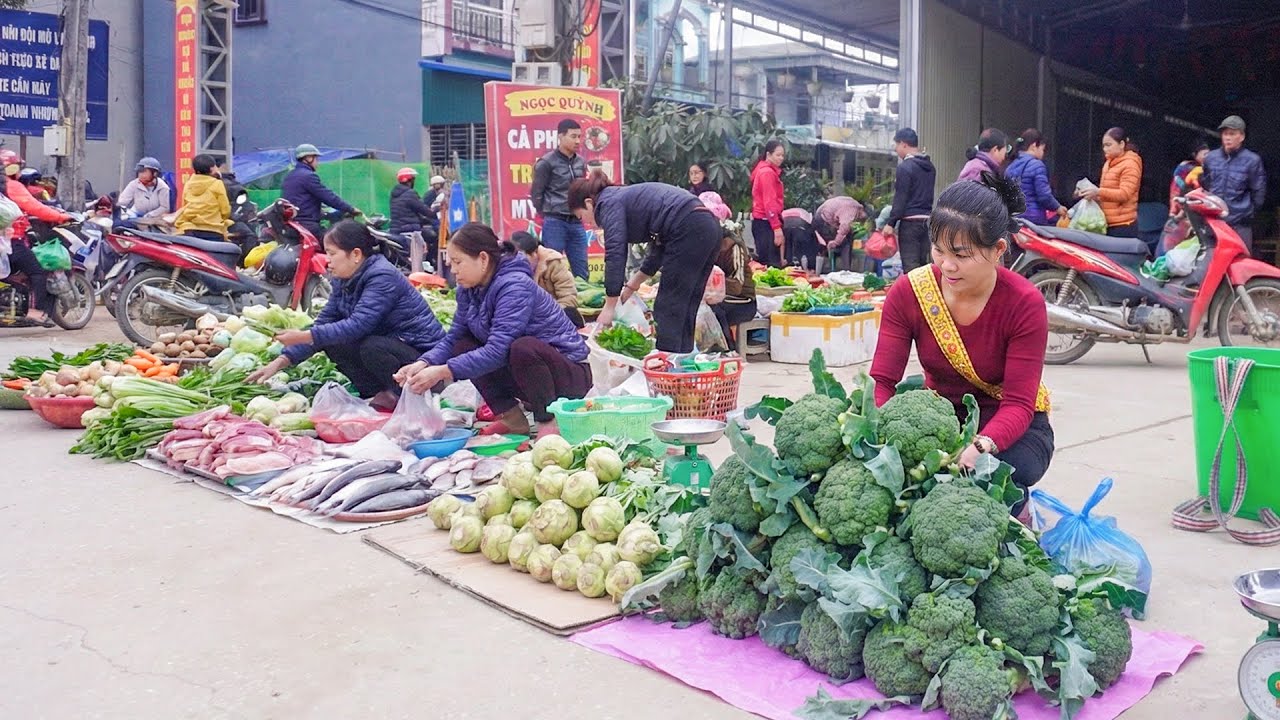 Harvesting Cauliflower Grown On The Farm Go To Sell -- Catching Carp In The Rice Fields.