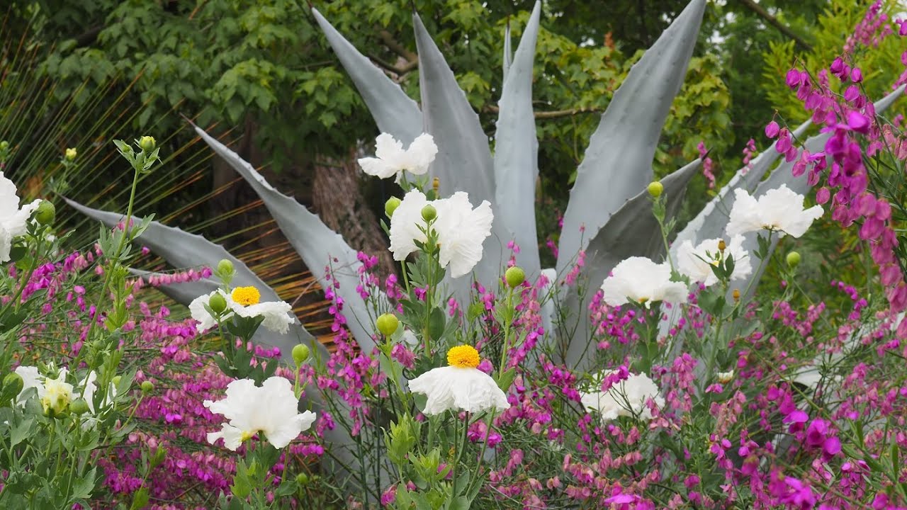 The Impact of the Ruth Bancroft Garden