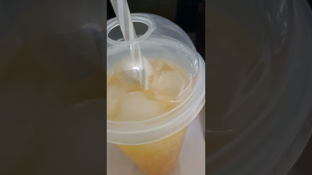 Papillon Monster Punch + Energy taste test #canadianstreamer #monsterenergy #energy #tastetest #yum