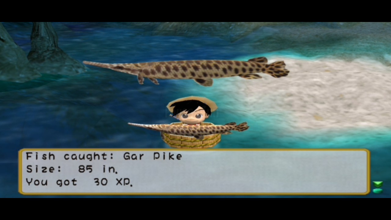 All Fish and Location - River King: A Wonderful Journey ps2