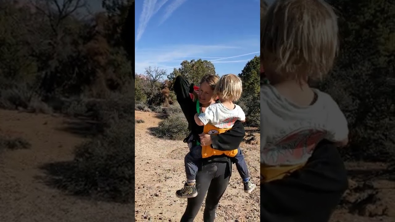 THE TRAIL MAGIK KID CARRIER - WITH A 4.5 YEAR OLD