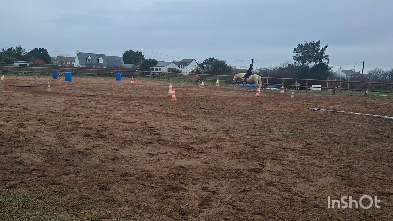 Equifeel Cavalgo Manche 2 Montée 2