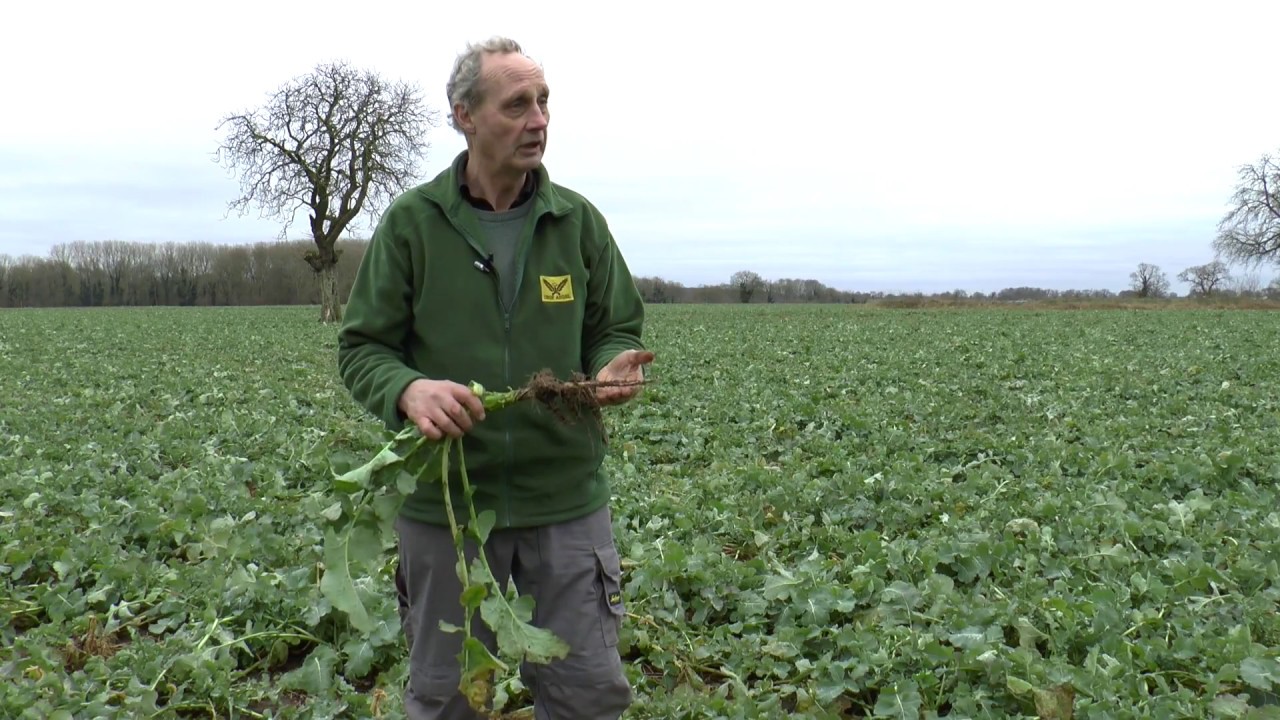iOSR - Chris Eglington about OSR precision drilling and CTF