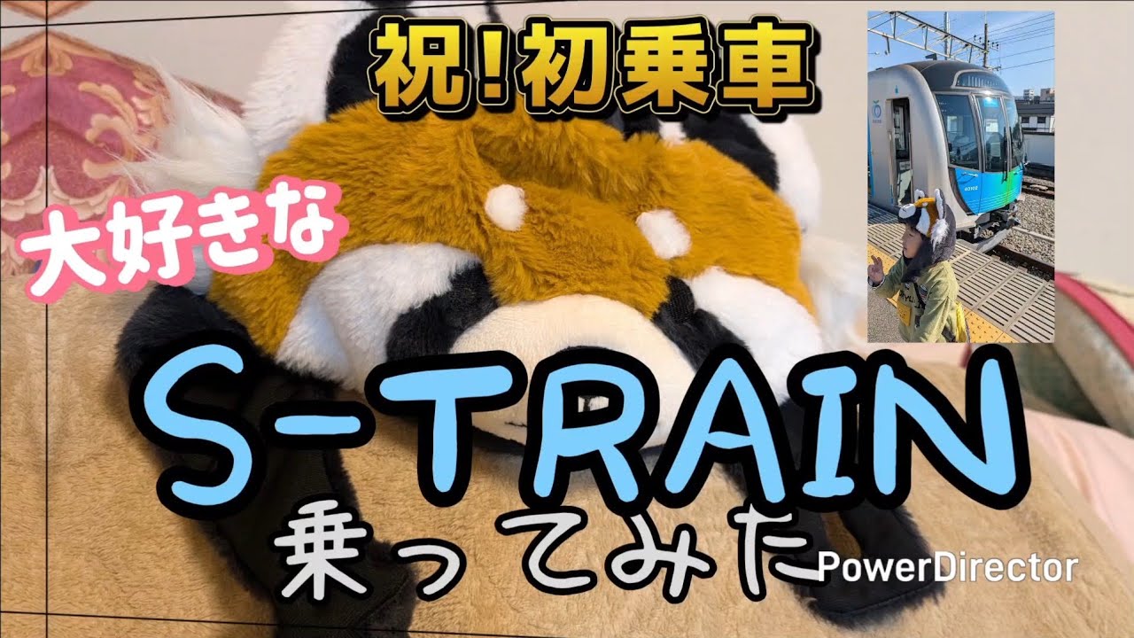 西武線S-TRAINに初乗車！レッサーパンダ(?)がご紹介！最後には感動の再会も…☺️