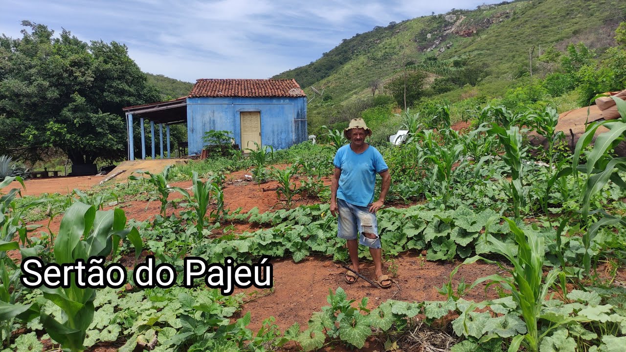 UMA PALESTRA COM SEU CLÓVIS PLANTADOR DE ABÓBORA E JERIMUM NO MUNICÍPIO DE TRIUNFO SERTÃO DO PAJEÚ.