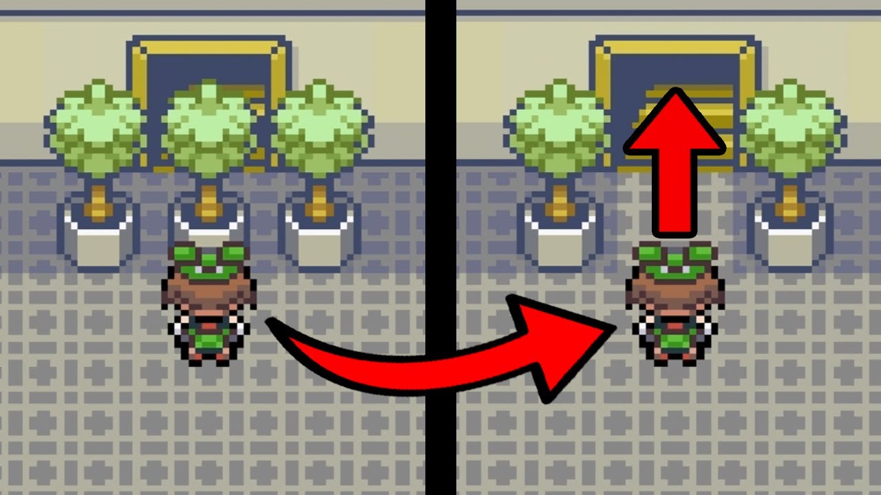 What Happens if you CUT out the PLANT?