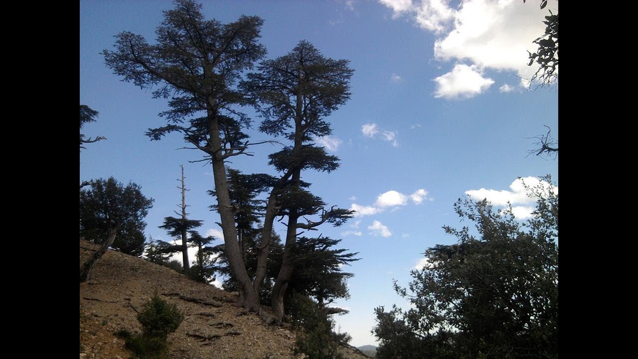 Les monts des Ouled Yacoub - Khenchela (Algérie)