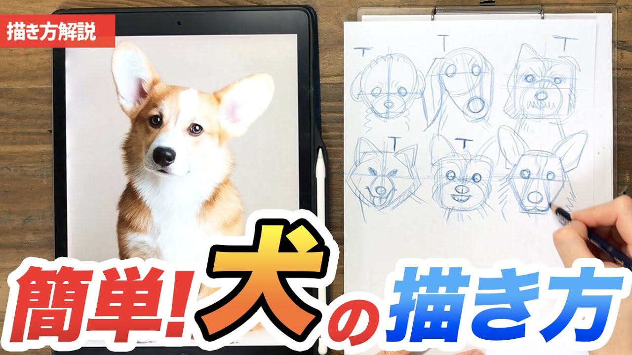 犬の描き方 》誰でも描ける！色んな犬種の描き方をレクチャー！！